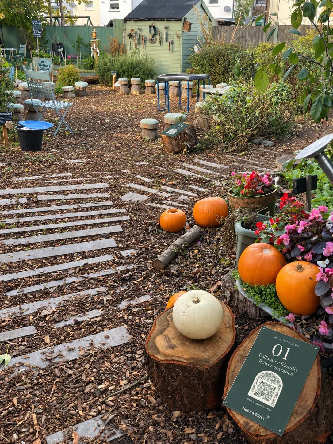 The path into Buxton secret garden, pumpkins on log rounds beside sign 01