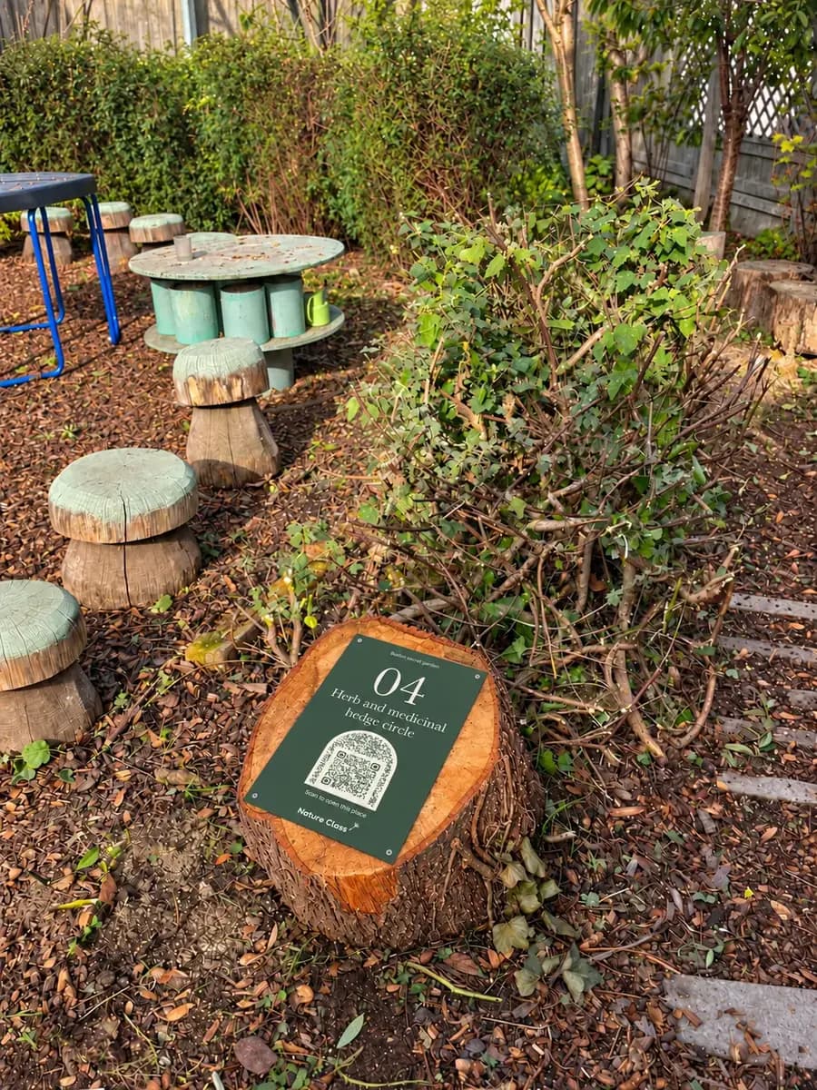 The herb and medicinal hedge circle, the green tool shed behind it