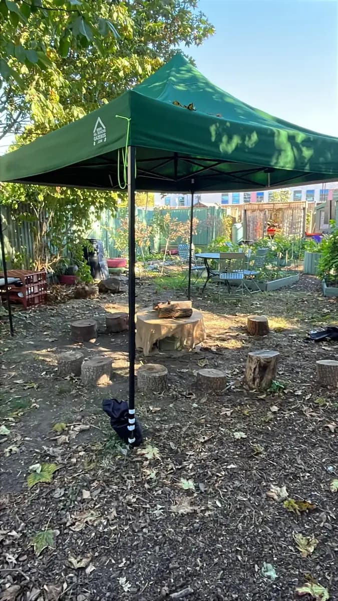 A green canopy over a ring of tree-stump seats