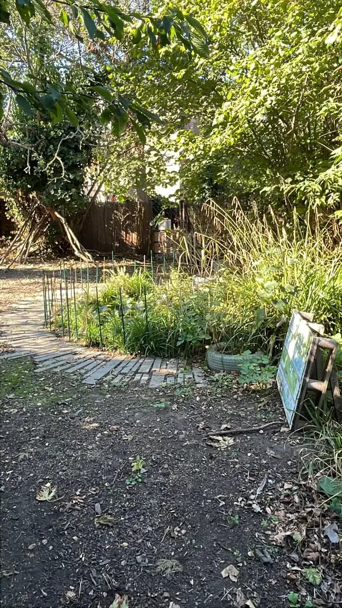 A shaded path into the wild corner