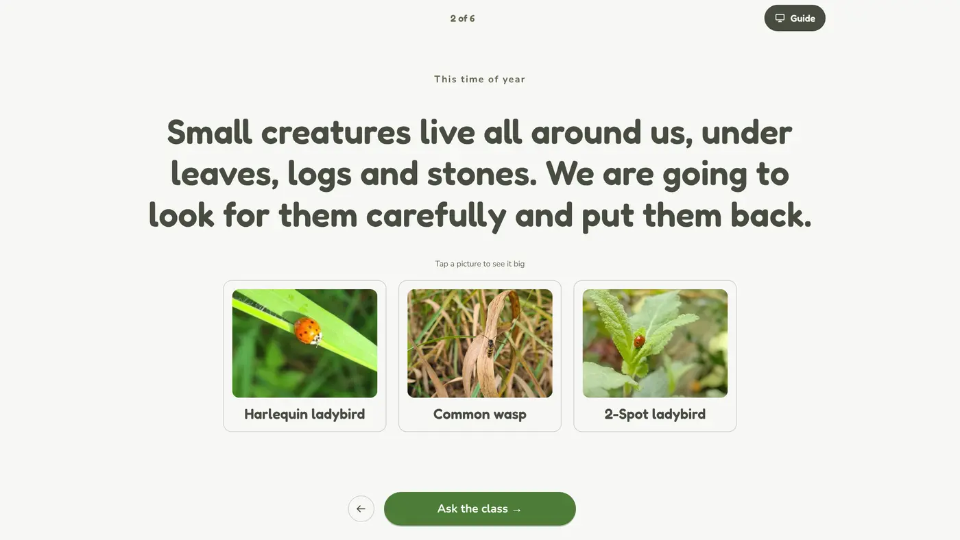 The class board indoors, read for the school's postcode: This time of year. Small creatures live all around us, under leaves, logs and stones. We are going to look for them carefully and put them back. With a harlequin ladybird, a common wasp and a 2-spot ladybird recorded nearby.