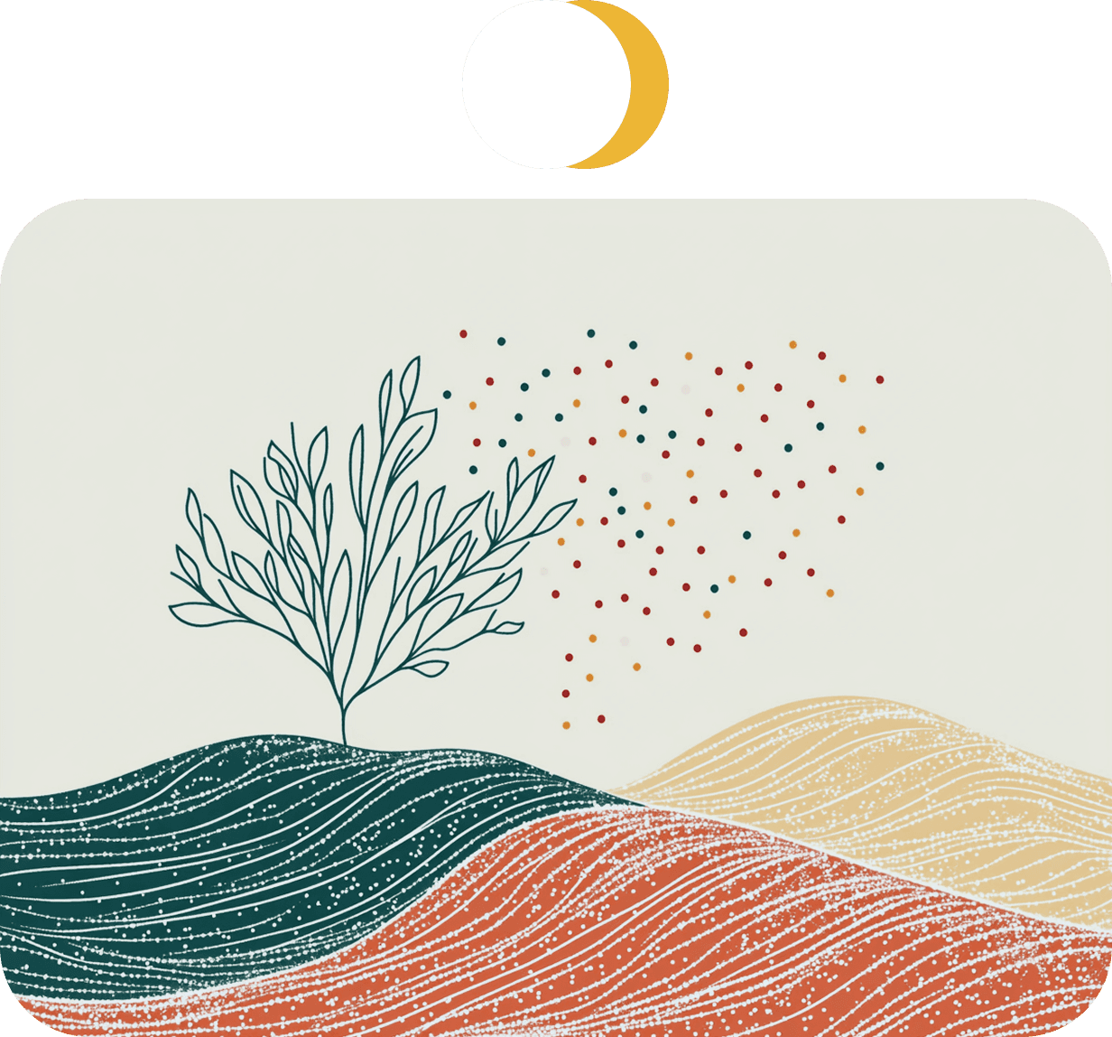 Naturate design process — Harvest & Re-Seed (Launch & Evaluate)