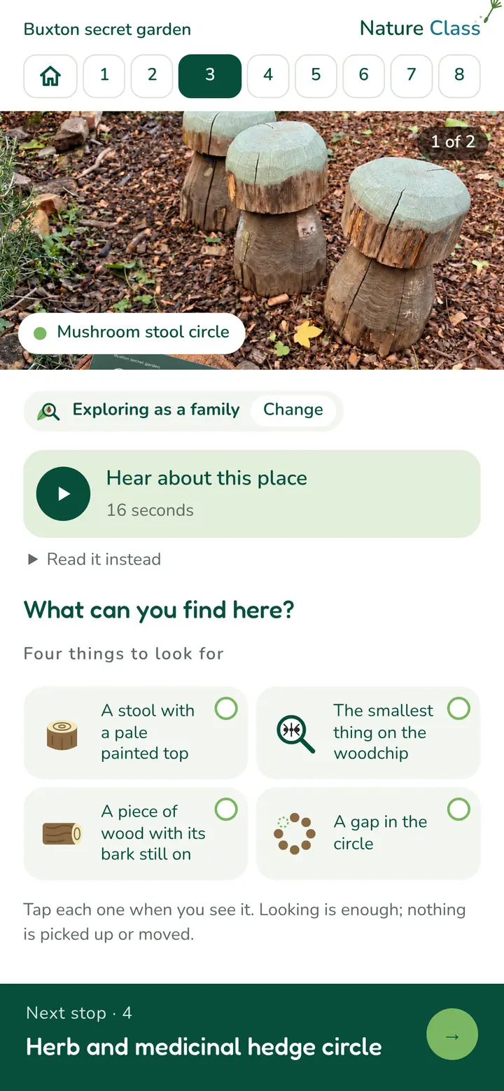 Phone screen at the mushroom stool circle: four things to look for, a stool with a pale painted top, the smallest thing on the woodchip, a piece of wood with its bark still on, a gap in the circle